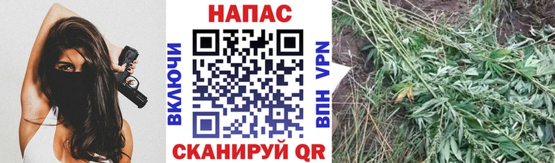 Где купить наркоту Чудово Канабис Меф кракен как войти Гашиш COCAIN МЕТАМФЕТАМИН