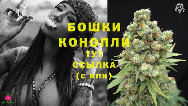 трава Лабытнанги