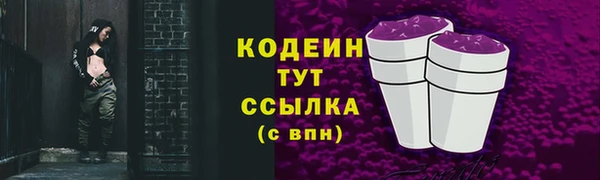 трава Лабытнанги