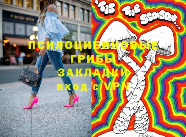тгк Ладушкин