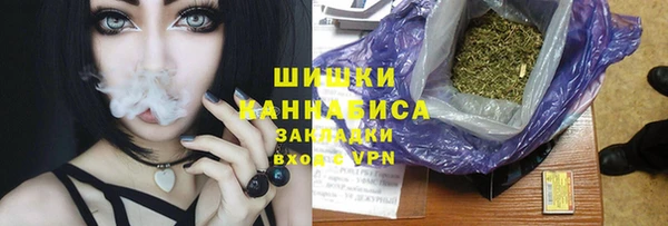 тгк Ладушкин